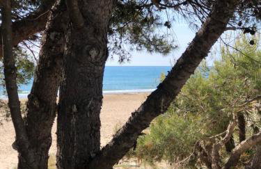 Al_andalus_404 - Foto 40