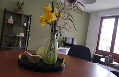 meublé du Plateau - Nancy centre Gare Tgv - Foto 16