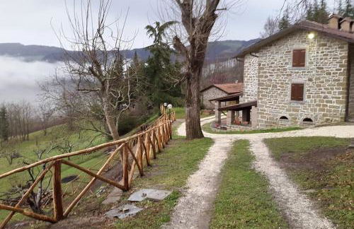 Casa Ridapio: Trail & Relax - Foto 26