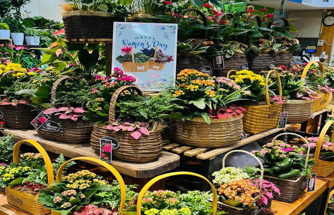 Discover the Cultural Gems of Kowloon – Half-Day Private Tour - Photo 7