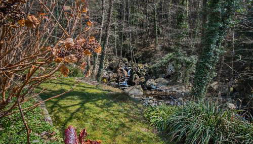 il Friscello - Foto 5, Garden