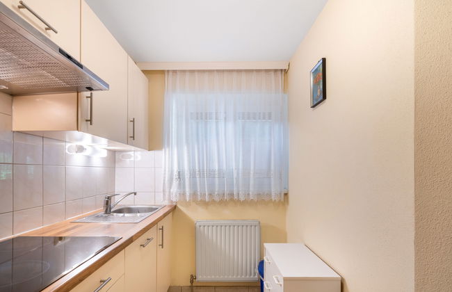 3 bedroom Apartment in Mayrhofen with garden and terrace - Photo 8