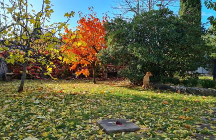 Alla Cantina - Foto 35