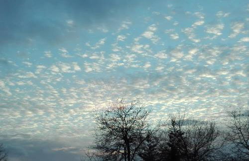 CAMPO DE SOBARBO - Guest House rural - Foto 65