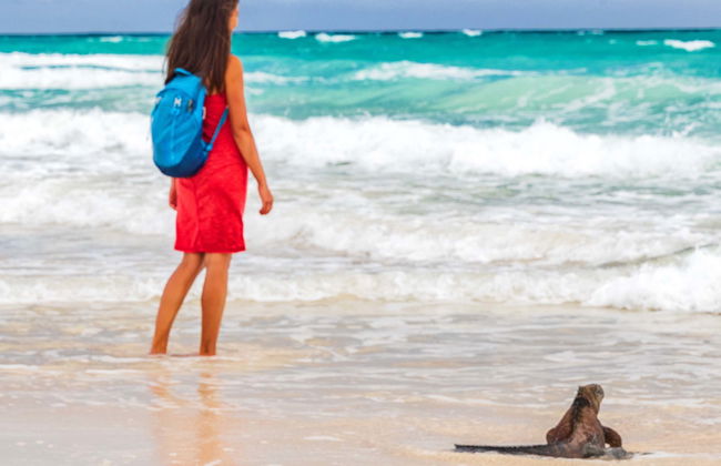 Tortuga Bay Day Trip - Foto 1