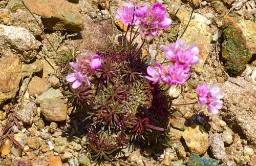 Church View, Helston Old Town - Foto 56