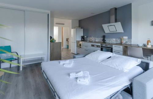 ROSCAROC ENEZ KARN - Joli T2 vue mer proche plage - Foto 22