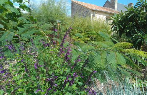 La Maison Tumtum Arbre - Foto 45