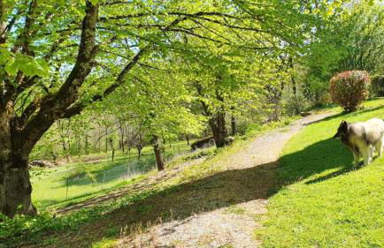 Maison charmeur avec jardin à Puy-l'Évêque et piscine partagée - Foto 21