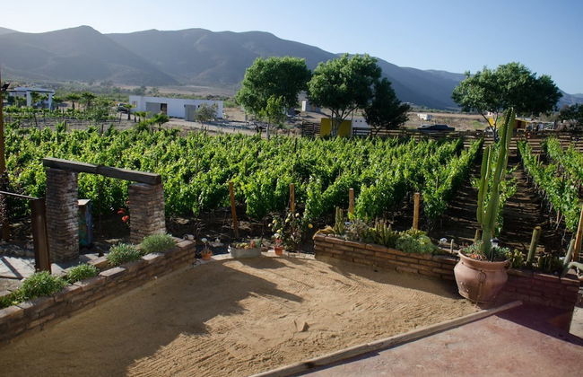 Ecléctico Guadalupe - Foto 52