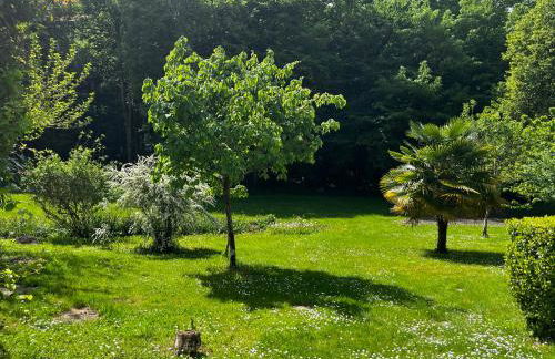 Altanka, Maison, calme au milieu de la nature près de Beauval, Chenonceau et autres chateaux de la Loire - Foto 6