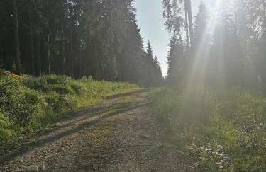 Olberówka - Foto 25