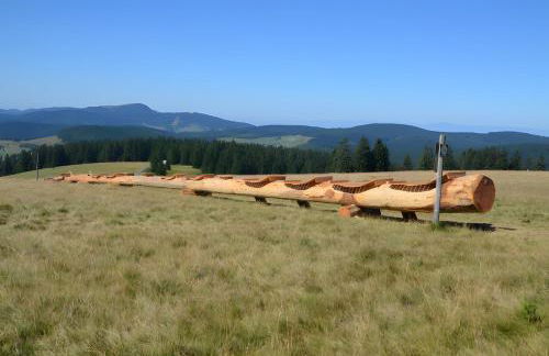 Drei Tannen - Foto 10