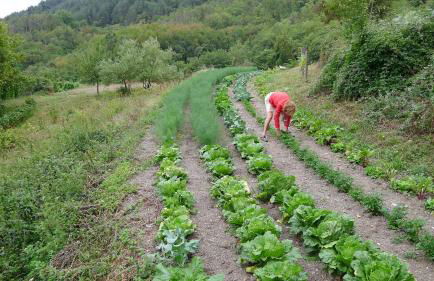 Agriturismo Giandriale - Foto 40
