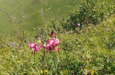 CHARMANT APPARTEMENT à 150 M des THERMES et du CENTRE VILLE - Foto 39