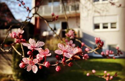 Ferienwohnung im Aalbachtal - Uettingen bei Würzburg - Foto 1