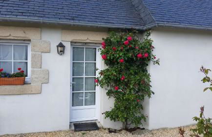 Kleines Ferienhaus am Meer - Photo 10