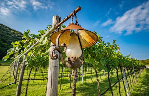 Agriturismo La Pertica - Foto 69