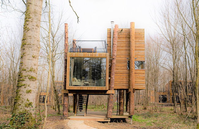 Luxury Tree Loft Tree Cabin for 4 People 4 - Foto 36