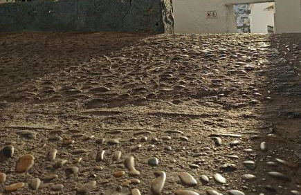 Alvarado Loft Rural - Foto 32