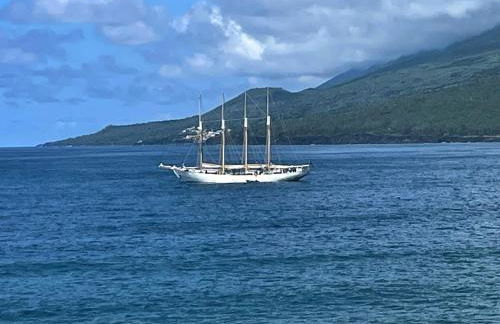 Welcome to Casa Fitz with Ocean Views and Air Conditioning - Photo 50