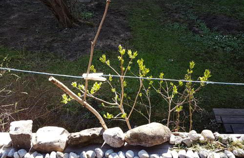 Studio im Blockhaus am Chiemsee - Foto 34