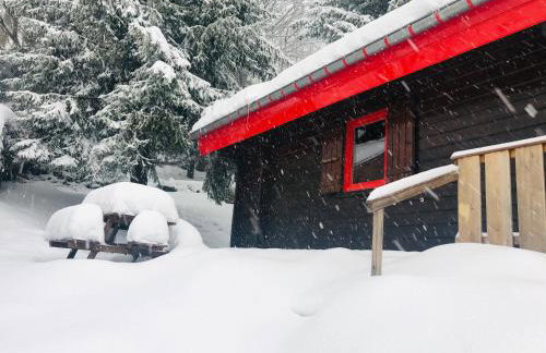 Chalet Le Cactus avec sauna privatif - Foto 46