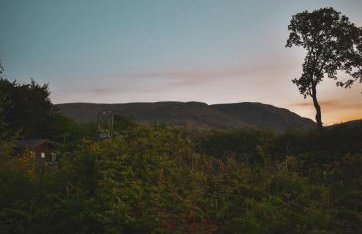 Lodge at Loch Lomond - Foto 23