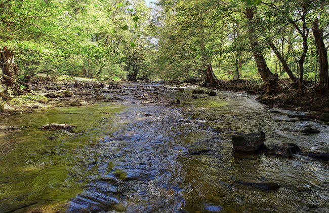 Wandering Creek - 2 Bedrooms, 1 Baths, Sleeps 6 Cabin by RedAwning - Foto 24