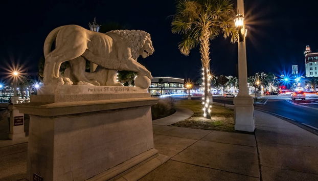 The Dolphins of Salt Run - Foto 2, Imagem principal