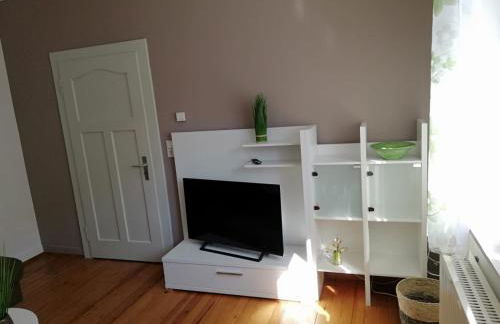 Ruff un Runner - Photo 8