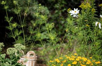 Leśna 21 Dom Północ przy PUSZCZA BIAŁOWIESKA - Foto 30