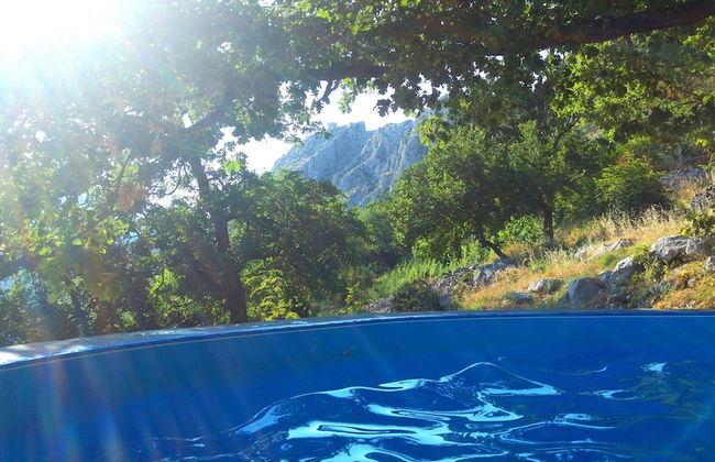 Holiday House With Pool - Photo 1