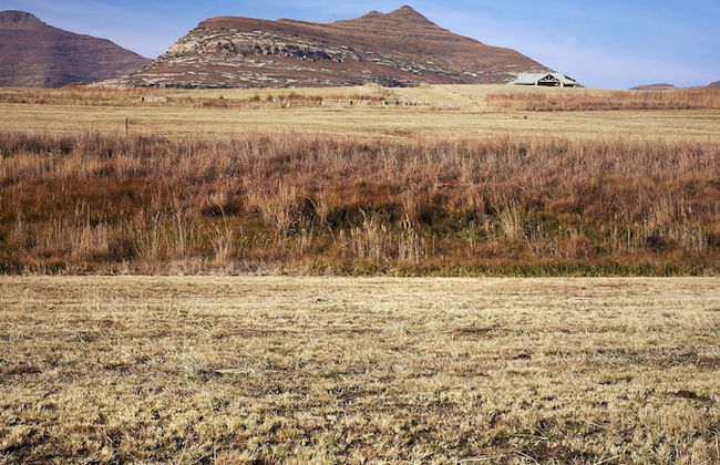 Dynasty Red Mountain Ranch - Photo 35