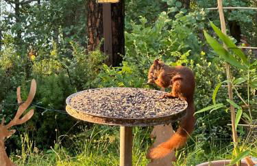 Lakeside-Hideaway - Photo 9