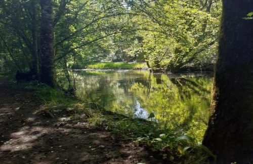 Holiday Home in Loubigne With Pool & Terrace - Foto 65