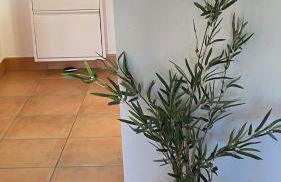 Schöne Unterkunft mit Pool und Terrasse. - Foto 14