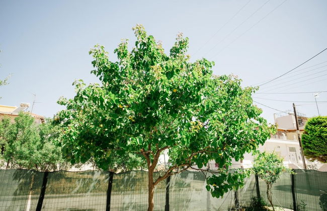 Sylvi Maisonette Volos - Foto 20