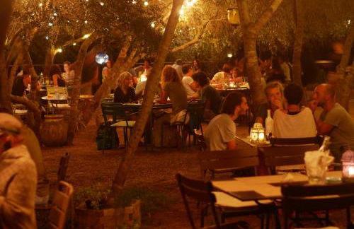 Domaine Panciarella - Foto 43