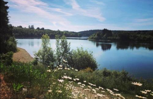 Eifel Garden Hideaway - Foto 49