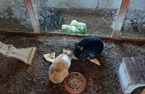 Appartement Sandwater - Foto 10