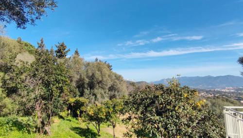 Charmant rez de villa, et sa terrasse à Ajaccio - Foto 5, Garden, Garden view