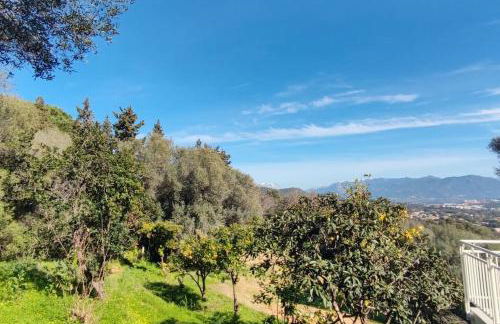 Charmant rez de villa, et sa terrasse à Ajaccio - Foto 5