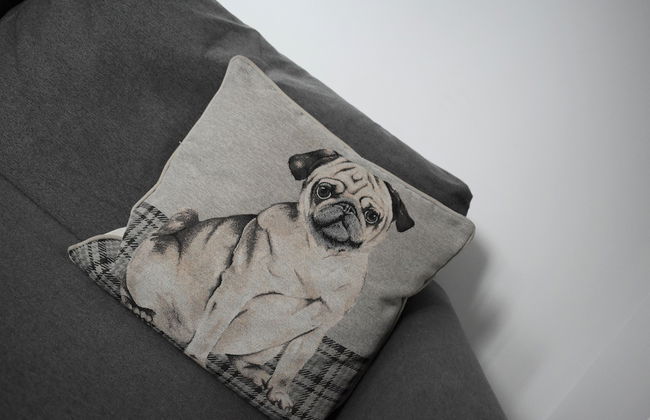 Argyle Apartments - Photo 21