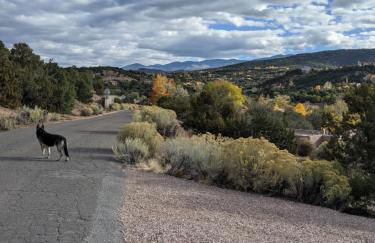 Studio apartment 15 minute walk to plaza - Foto 1