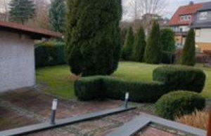 Ferienhaus Kirschblüte in Wolfshagen im Harz - Foto 7