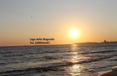 Lago delle Magnolie Baia Verde - Foto 19