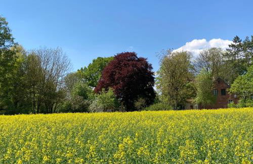 Familiennest am MüritzSee mit Kamin & Sauna - Foto 80