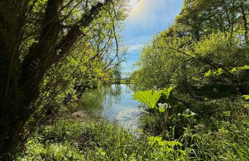 Sunridge Fishing Lodge with Hot Tub & Giant Cinema - Foto 71