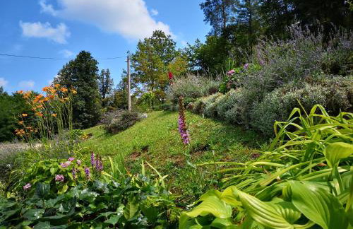 Holiday House Kod Ajke - Foto 39